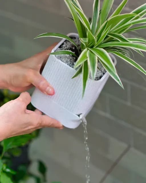 Aura | Architectural Ribbed Square Planter with Hidden Drainage, catalogusmodel OT-EF52F907F183