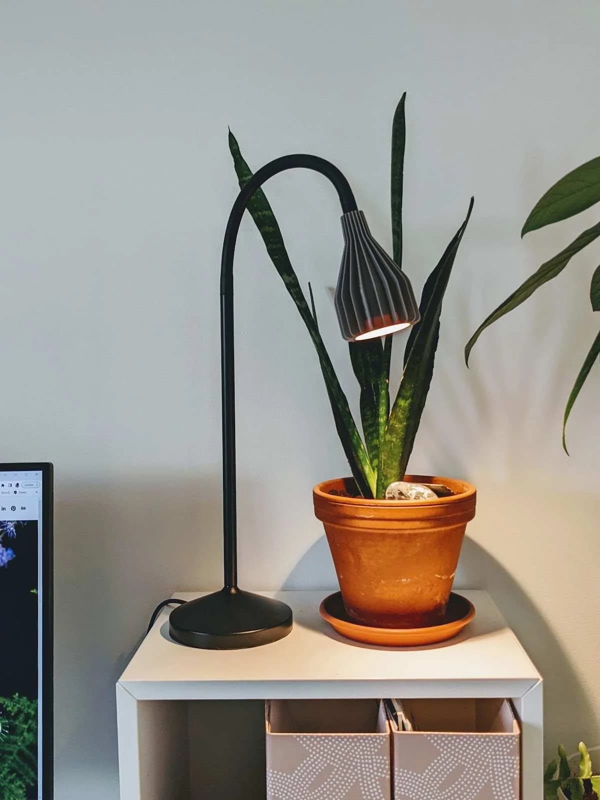 Ribone Straight Mini creator example on a black gooseneck desk lamp beside a plant; only the printed shade is offered